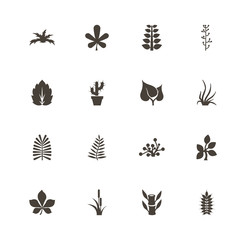 Plants icons. Perfect black pictogram on white background. Flat simple vector icon.