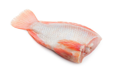 Headless red tilapia fish isolated on white background