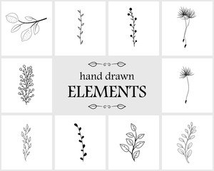 Hand drawn floral logo elements and icons