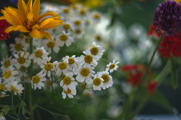 a bouquet of bright spring flowers of various types