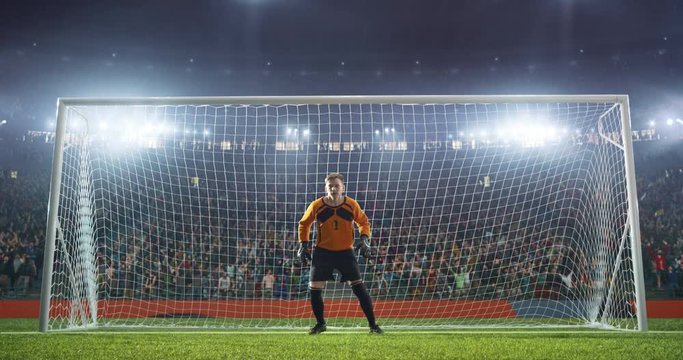 Soccer player on a professional soccer stadium. Stadium and crowd is made in 3D and animated
