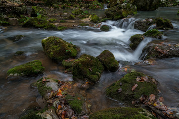 Fototapeta na wymiar Beautiful river in the forest 