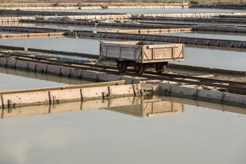 Naklejka premium The transport trolley in Secovlje Salt Pans