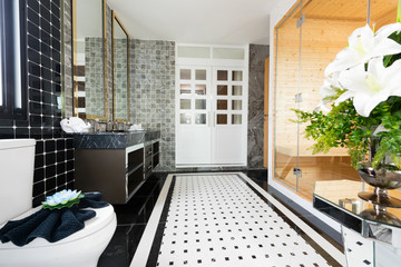 luxury bathroom with sauna
