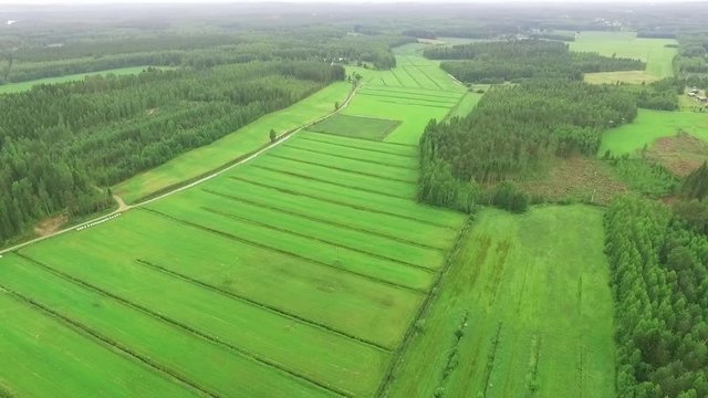 Harvested green hay fields in Finnish countryside