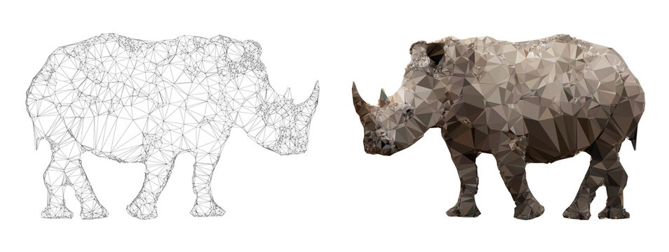 Rhino triangulation vector