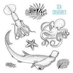 Fishes or sea creature octopus and squid, calamari. red lionfish and great hammerhead shark. engraved hand drawn in old sketch, vintage style. nautical or marine. animals in the ocean.