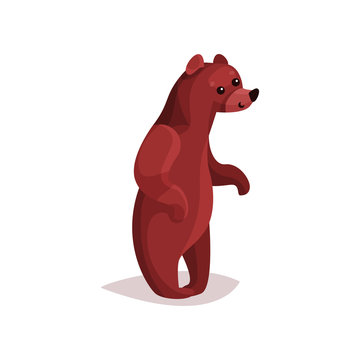 Cute brown grizzly bear cartoon vector Illustration