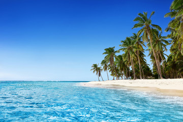 Paradise beach. Tropical paradise, white sand, beach, palm trees and clear water