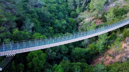 Suspension bridge surrounded by lush green forest - Top down aerial view