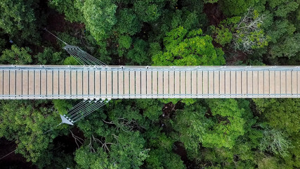 Suspension bridge surrounded by lush green forest - Top down aerial view