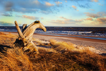 a piece of an old wooden praula looks at sea