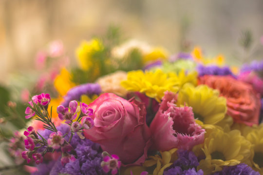 Fototapeta flowers kwiatkwiaty rose róże bukiet bokeh roślinyzieleń kwiaciarnia bajka piękno ntura przyoda pąki kwiatostan