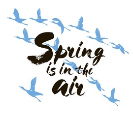 Spring is in the air postcard. Ink illustration. Modern brush calligraphy. Isolated on white background with birds.