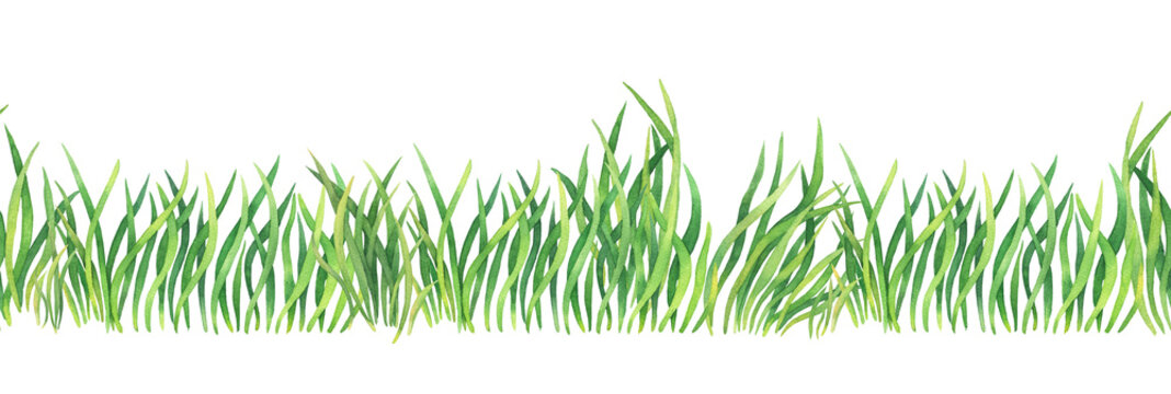 Fresh green grass - seamless pattern. Watercolor hand drawn painting illustration isolated on a white background. Summer grassy element for design, nature landscape. Organic, bio, eco label and shape.