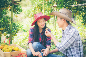 Portrait of happy farmer couple eating oranges in an orange tree field