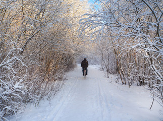 A cyclist on a snowy forest trail. Rural winter landscape.