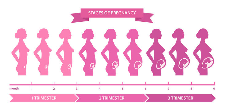 Pregnancy App Prayers UX Case Study on Behance