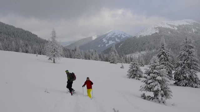 Couple of happy travelers in snowshoes walk through deep snow, through a mountain glade to huge fir trees, during a heavy snowfall. Enjoying life in a wild nature. Slow motion.