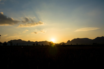 Fototapeta na wymiar Sunset beautiful light with mountain background