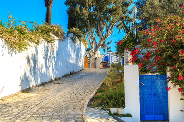 White-blue city of Sidi Bou Said, Tunisia.