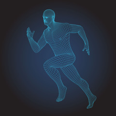3D wire frame human body. Sprinter Running figure