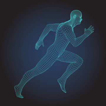 3D wire frame human body. Sprinter Running figure