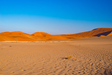 Fototapeta na wymiar Sand dunes Namib desert, salt flat, roadtrip in the wonderful Namib Naukluft National Park, travel destination in Namibia, Africa.