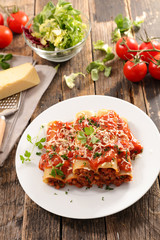 cannelloni with beef and tomato sauce