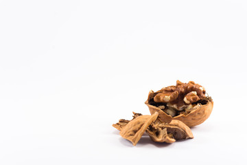 Walnut (white background)