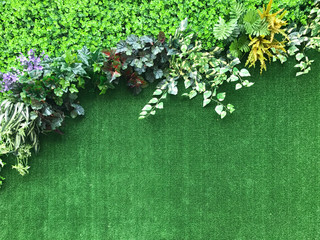 Beautiful artificial plant wall background