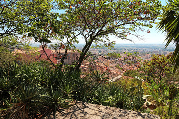 view over old town Hyères (FRANCE) from the hill