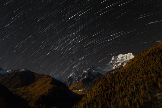 Pine forest mountain range in autumn season with snow peak and spot light from Chonggu Monastery in night sky with startails at Yading National Park,  Daocheng, Sichuan, China