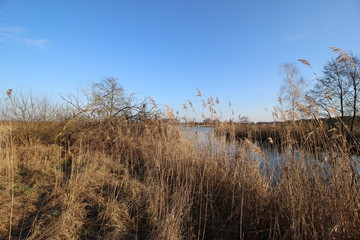 Natur in Brandenburg