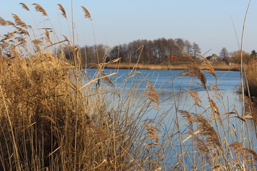 Fototapeta premium Natur in Brandenburg