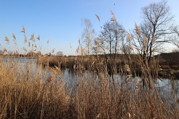 Natur in Brandenburg