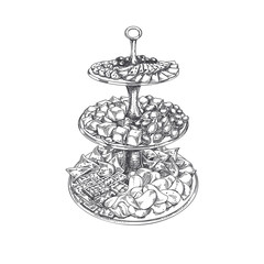 vector hand drawn finger food Illustration