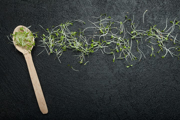 Spilled sprouts of sprouted seeds from a wooden spoon on a black background. Vegetarian snack from the blessed micro greens. - obrazy, fototapety, plakaty
