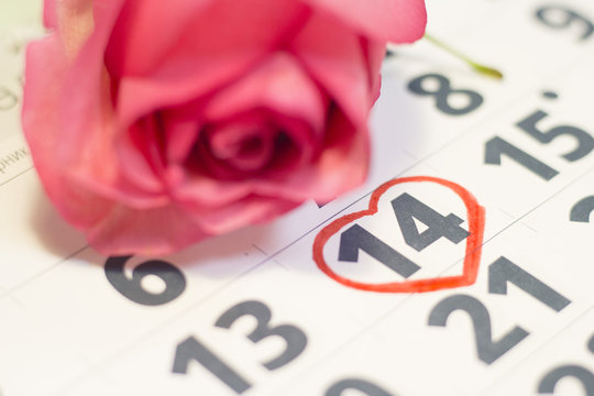 The concept of Love, St. Valentine's Day with a beautiful pink rose on a calendar, February 14th marked with a heart - Powered by Adobe