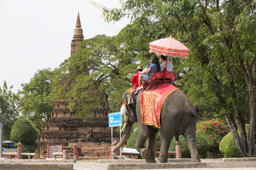 traveller sitting on elephant watching pagoda of ayutthaya on holiday