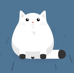 Obraz premium Cute sitting cat. White cat with stains. Flat vector illustration