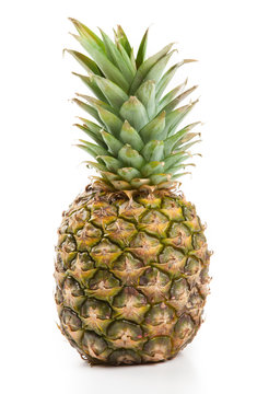 one big pineapple on a white background