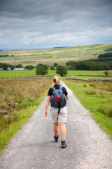 Obraz premium Walking on a British country lane