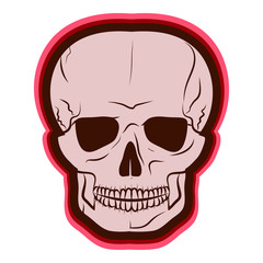 Red Skull. vector illustration. Drawing by hand.