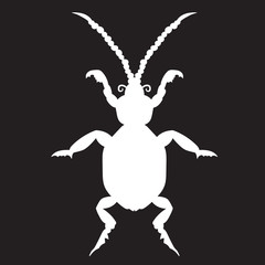 White beetle on a black forehead. vector illustration. Drawing by hand.
