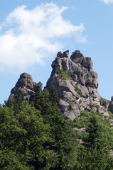 High stone rock in a green forest under a blue sky