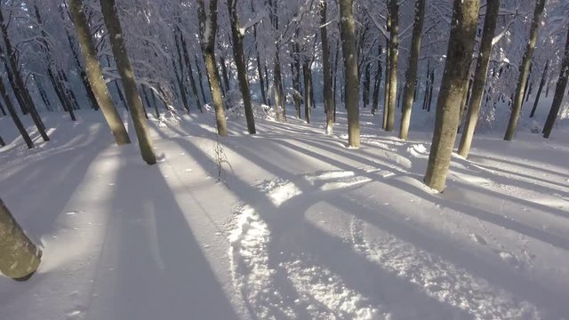 A skier skiing in the snowy wood, gopro footage
