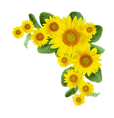 Obraz premium Sunflowers corner arrangement