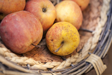 bio apple basket close up