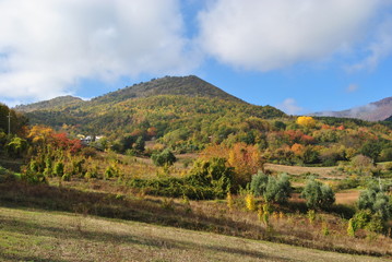 Naklejka premium Natura autunnale
